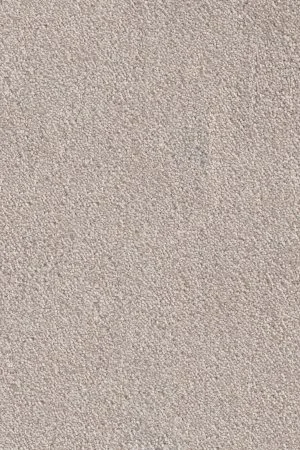 Ковровое покрытие AW Messalina 37 - (4м) в Иркутске