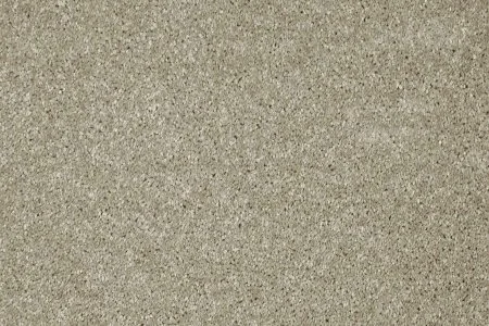 Ковровое покрытие AW Gala 03 - (5м) в Иркутске