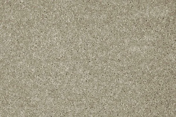 Ковровое покрытие AW Gala 03 - (4м) в Иркутске