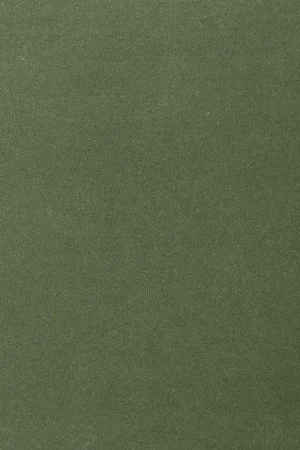 Ковровое покрытие AW Oinone 24 - (5м) в Иркутске