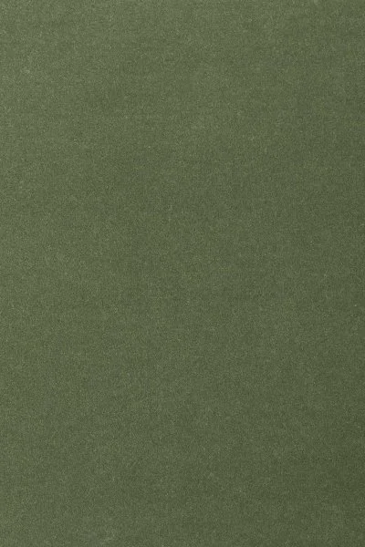 Ковровое покрытие AW Oinone 24 - (4м) в Иркутске