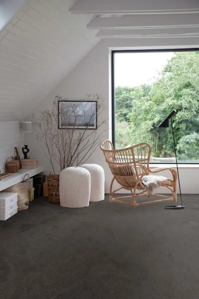 Ковровое покрытие AW Ganges 99 - (4м) в Иркутске