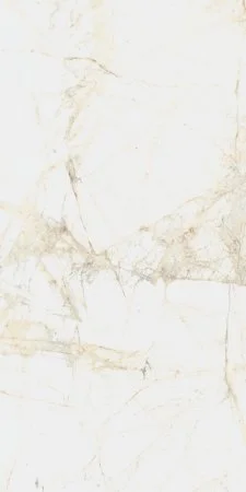Керамогранит Coliseum Канова Уайт 60х120 (Натуральный и Реттифицированный) в Иркутске