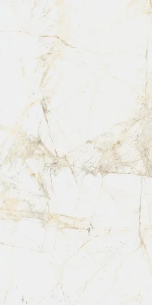 Керамогранит Coliseum Канова Уайт 60х120 (Натуральный и Реттифицированный) в Иркутске