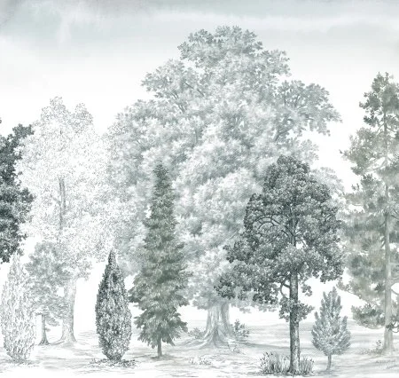 Обои Loymina Пейзаж vol. 2 ART14 011 в Иркутске