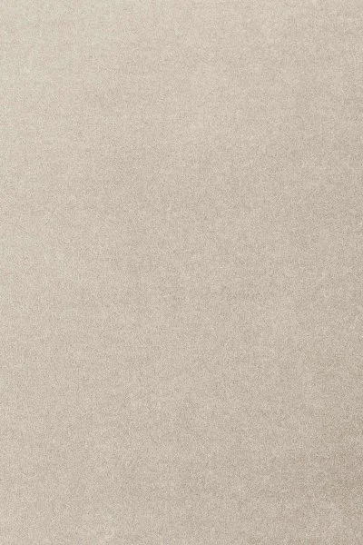 Ковровое покрытие AW Oinone 39 - (4м) в Иркутске