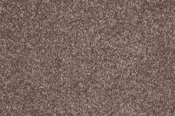 Ковровое покрытие AW Gala 60 - (5м) в Иркутске