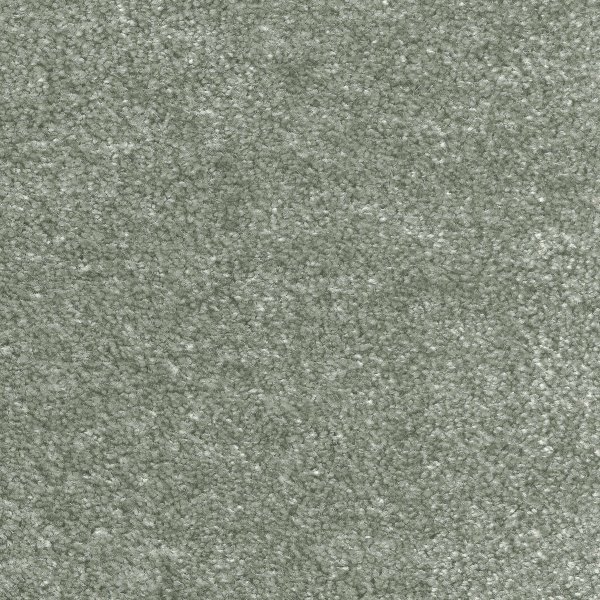 Ковровое покрытие AW Euphoria 28 - (5м) в #REGION_NAME_DECLINE_PP#